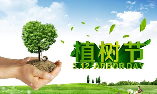 歐感 | 我們共植樹，四海皆綠蔭